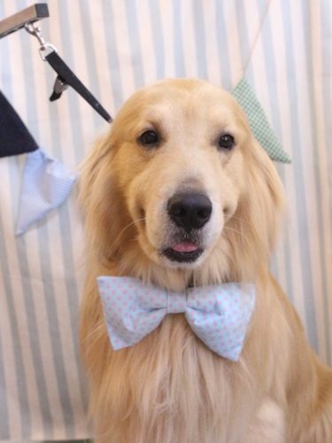 20250528マロンくん